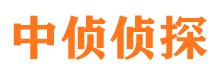 颍上外遇出轨调查取证